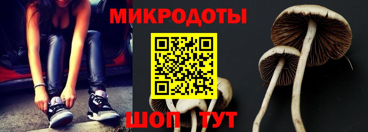 Псилоцибиновые грибы Psilocybine cubensis Братск